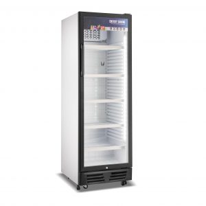 Single Visi Fridges
